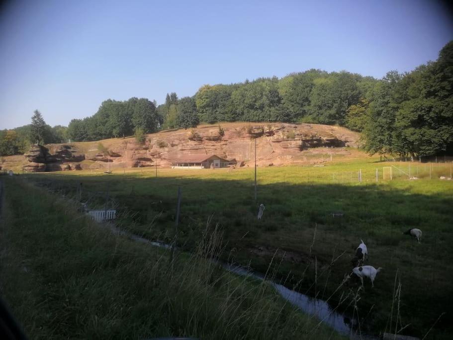 Vila Leonie Walscheid Exteriér fotografie